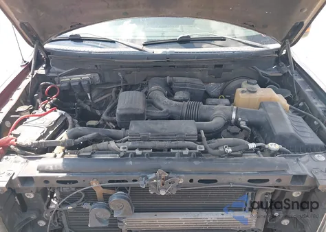 2009 Ford F-150 King Ranch/Lariat/Platinum/Xl/Xlt z USA, uszkodzony, nr VIN 1FTPW12V69FB05633